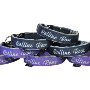 Wyprawka dla szczeniaków